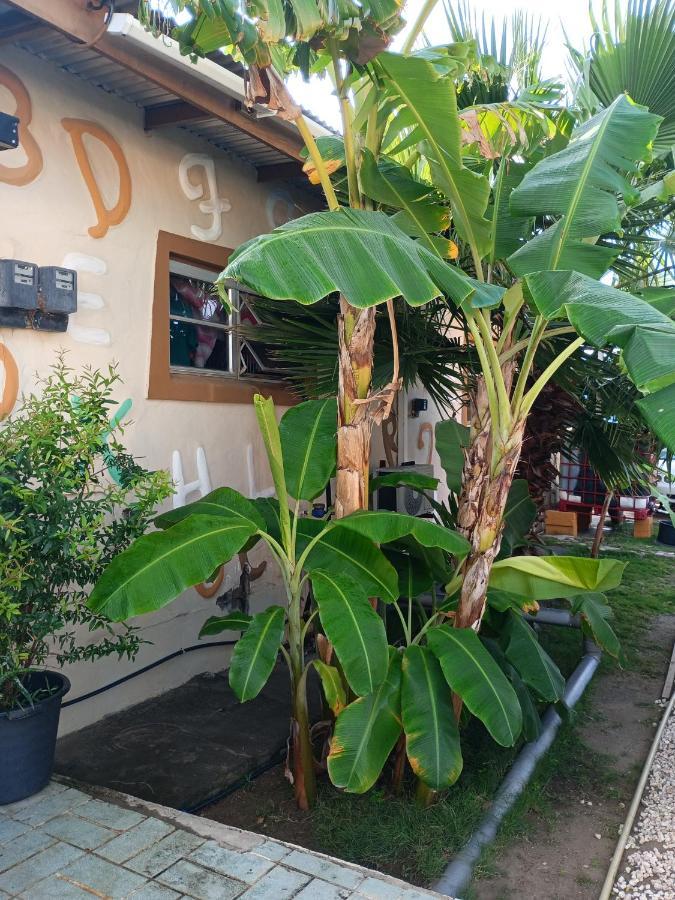 Aruba Backpackers Apartment Ораниестад Екстериор снимка