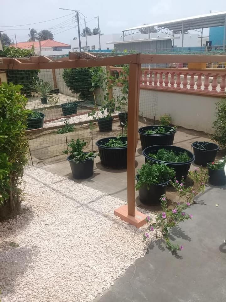 Aruba Backpackers Apartment Ораниестад Екстериор снимка